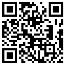 ������ʽ