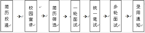 招聘流程