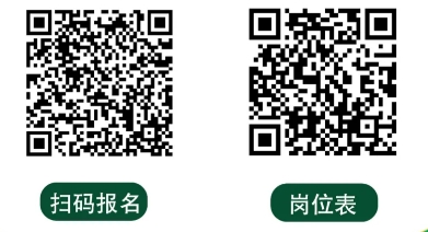 2024年中国邮政集团新疆分公司校园招聘公告