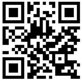 ������ʽ