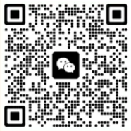 ������ʽ